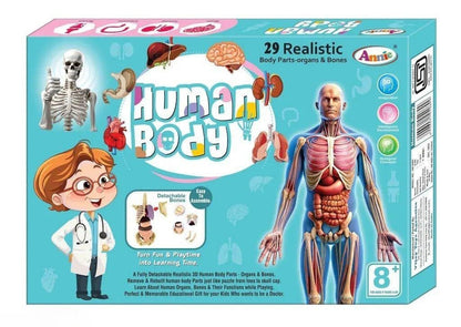 Human Body Anatomy Learning Kit